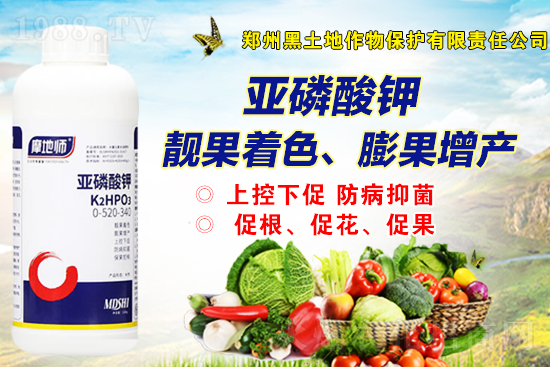 һ�@�Ј���(b��o)�r(ji��)��2021��9��2�����@�r(ji��)������