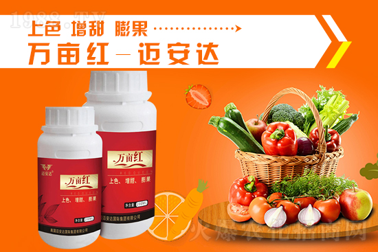 2021��9��24�Շ���(n��i)⛷ʃr�������߄�