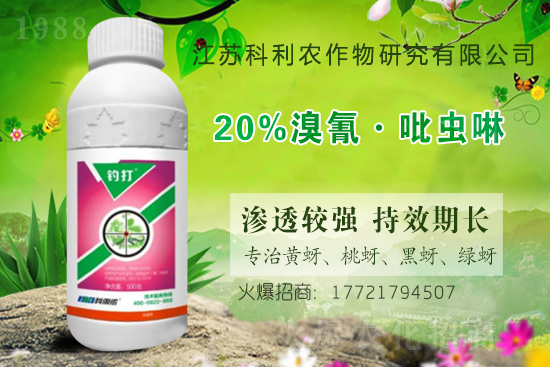 �r(n��ng)ˎ�r(ji��)��