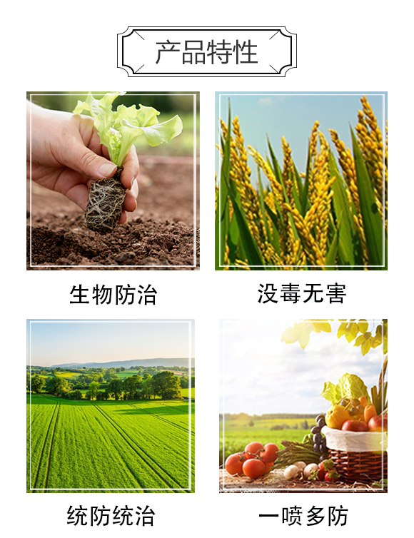 ��ؼt-��(qi��ng)�r(n��ng)_03