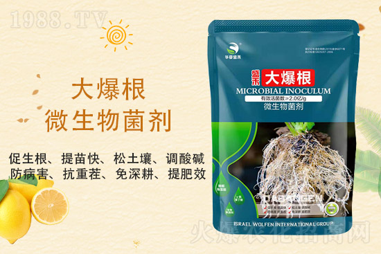 ���@�r��ַ�(w��n)��2021��9��3�����@�r���������