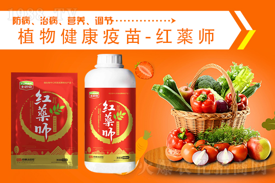 ���@�r���λ��ͦ��2021.9.4�������@�r�����飺