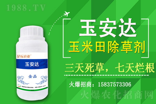 ���݄��r(ji��)��