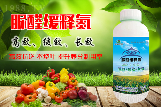 ��������С��������2021��9��9�������Ј��r���r