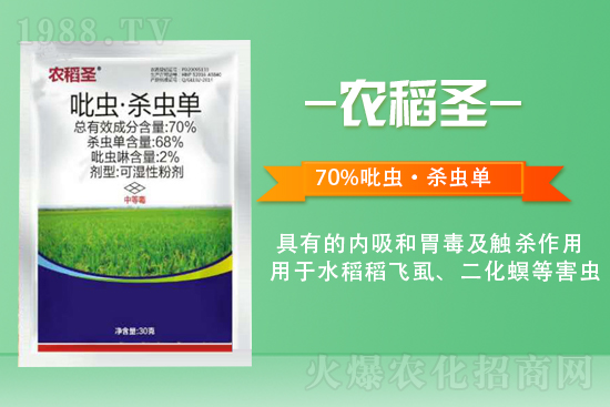 2022��2��5�ն����皢�x���r��