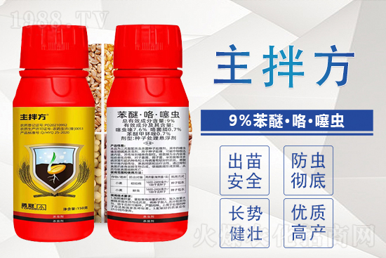 2022.2.8�����~�������r���߄�