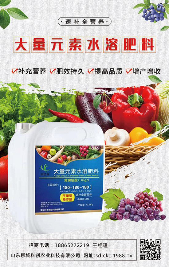 ɽ�|�ĳǿƄ�(chu��ng)�ٺ�1988.TV�����\�������p�A��