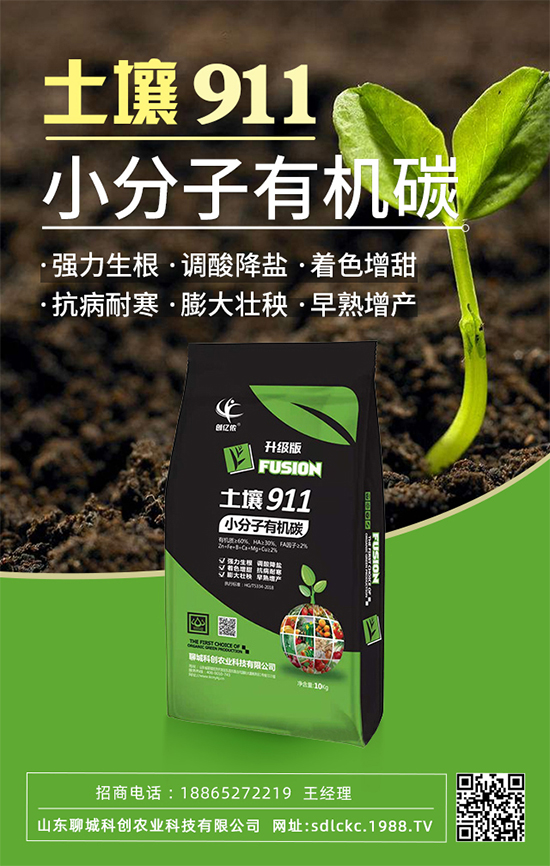 ɽ�|�ĳǿƄ�(chu��ng)�ٺ�1988.TV�����\�������p�A��