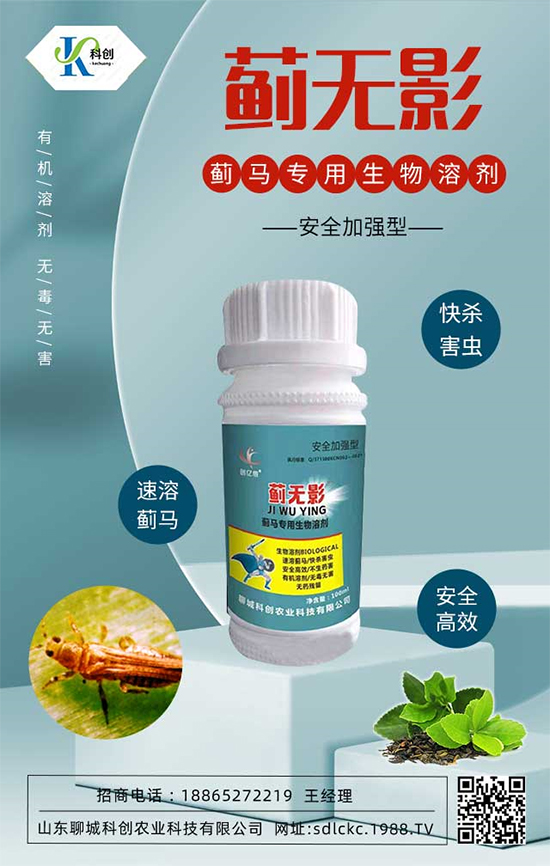 ɽ�|�ĳǿƄ�(chu��ng)�ٺ�1988.TV�����\�������p�A��