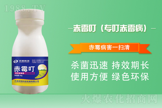 ����������(j��)�����B�p�ͿƼ��ٺ�1988.TV������(chu��ng)���x����