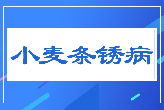 С���l�P��