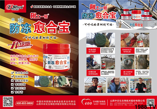 ɽ�����r(n��ng)�����＼�g(sh��)�ɷ����޹�˾41