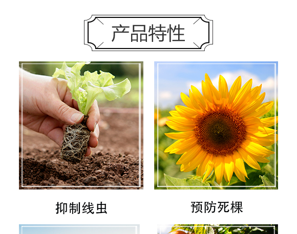 ������Ξ���x���W���޹�˾-�δ򪚶�_04