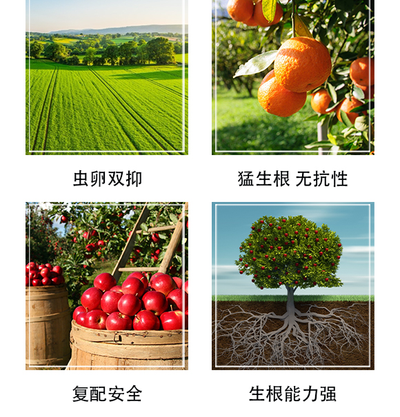 ������Ξ���x���W���޹�˾-�δ򪚶�_05