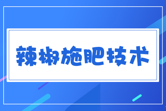 ����ʩ��