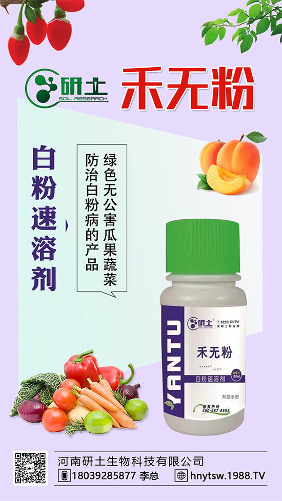 ���Ѱ׷۲��������l(f��)���������ֱ�׷۲���