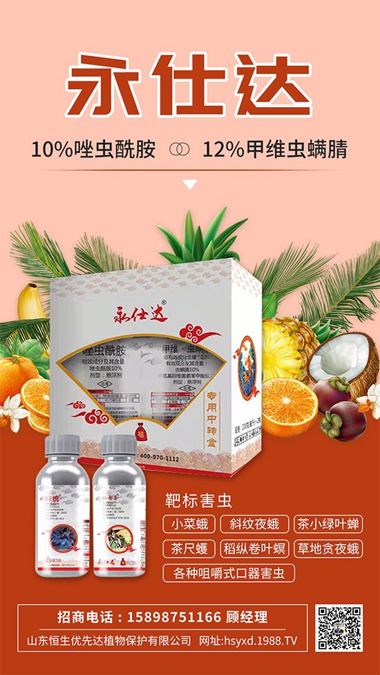 С�˶��η����y��С�˶�Σ���Y����δ�ʩ��