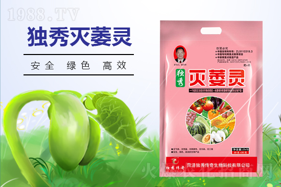 番茄發(fā)生枯萎病什么癥狀？番茄枯萎病的預(yù)防措施