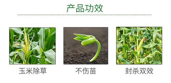 �ӱ������r(n��ng)�I(y��)�Ƽ����޹�˾910058_03