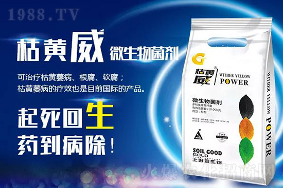 ���Sή�����ݵȲ������Ӝ皢�������͉�����