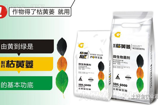 ���Sή�����ݵȲ������Ӝ皢�������͉�����