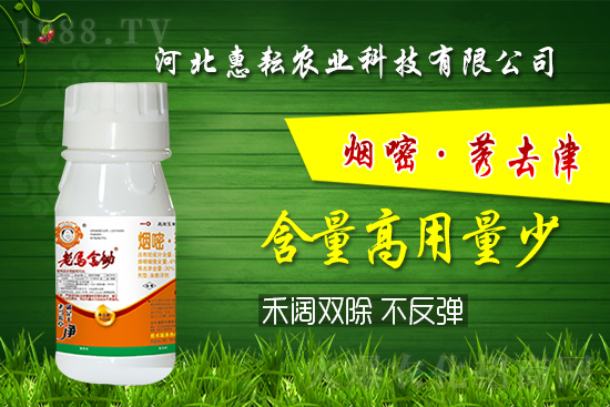 �⚢�pЧ�����ͨ�������������ӛס�@��(g��)�䷽�͉���! 