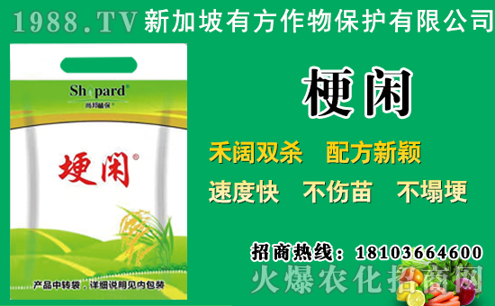 ���݄��r��