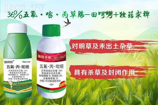 2022.4.12�O�����݄��r������