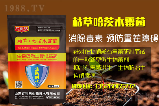 ���������l(f��)��ô��������������ʲôˎ�÷���Ч������