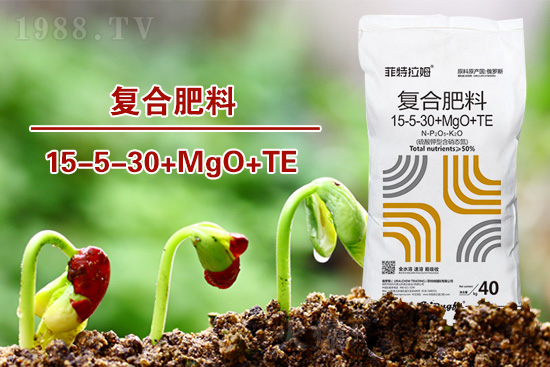 �ͺϷ�����ô�x���@���÷ʎ���ʡ�X��