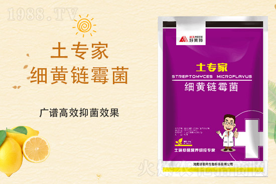 ���@�r�����ٝq����4��2�ո������@�r��