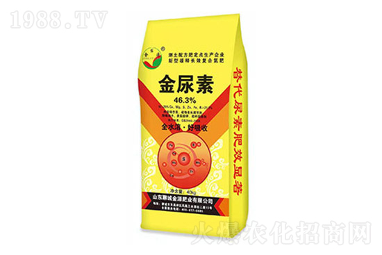 �������؃r��߀��������4��20�����؃r���������