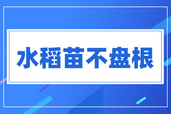 ˮ���粻�P��