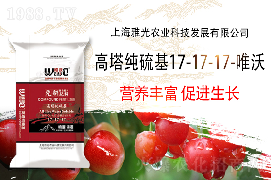 ���Տ�(f��)�Ϸʃr�������߄�2022��4��21��