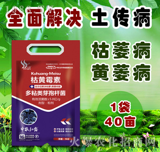     �����Բ�������Щ������ˎ����ô�x��һƪ�����f����