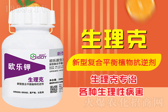 ����Ě������ʲô�Y������ô��Q����Ě������