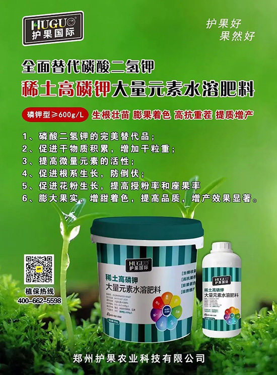 ⛷ʴ�q�r(ji��)���@�N⛷����(sh��)����������������⛣���ռ���f�Ј�(ch��ng)