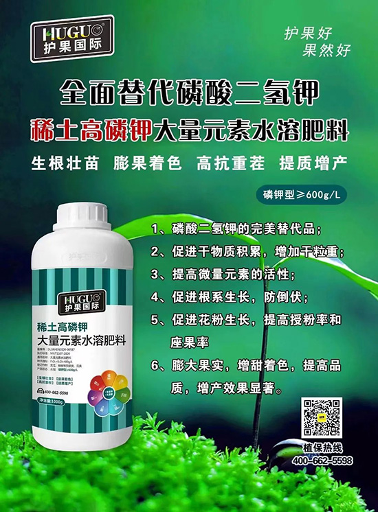 ⛷ʴ�q�r(ji��)���@�N⛷����(sh��)���ϣ����������������ռ���f�Ј�(ch��ng)