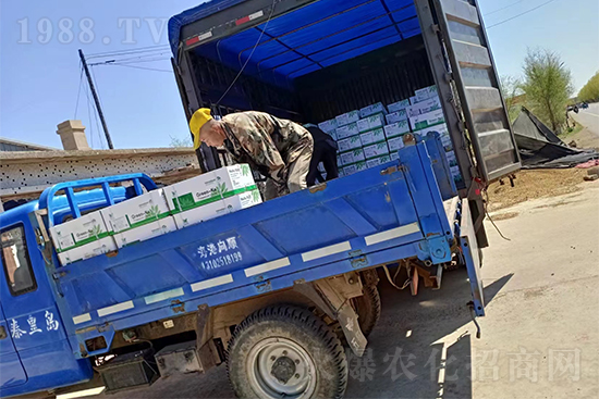 ���N��Ʒ�������S�ң�����2̖�l(f��)؛��ͣЪ