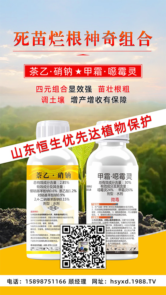 ���������ݡ����砀����(d��o)������ġ�Ԫ�������@�ӷ����p�ɸ㶨��