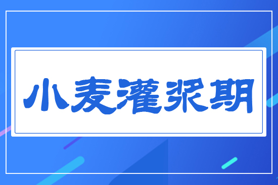 С�����{��