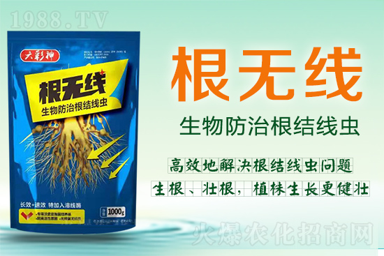 ���Y(ji��)���x�������ך��^�y���@�ӷ���Ч���õ��@����