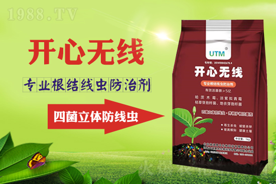 ���Y���xΣ���󣿾��x������Ҋ�R����