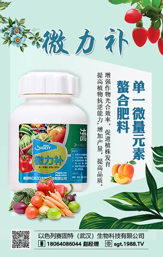 ���ι���С�~���S�~����������������