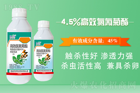 �ײ˲����x(ch��ng)��ʲôΣ�����ײ˲����x(ch��ng)����