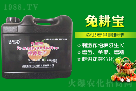 ���Ѵ߼t��ʩ��ô������ʲô������