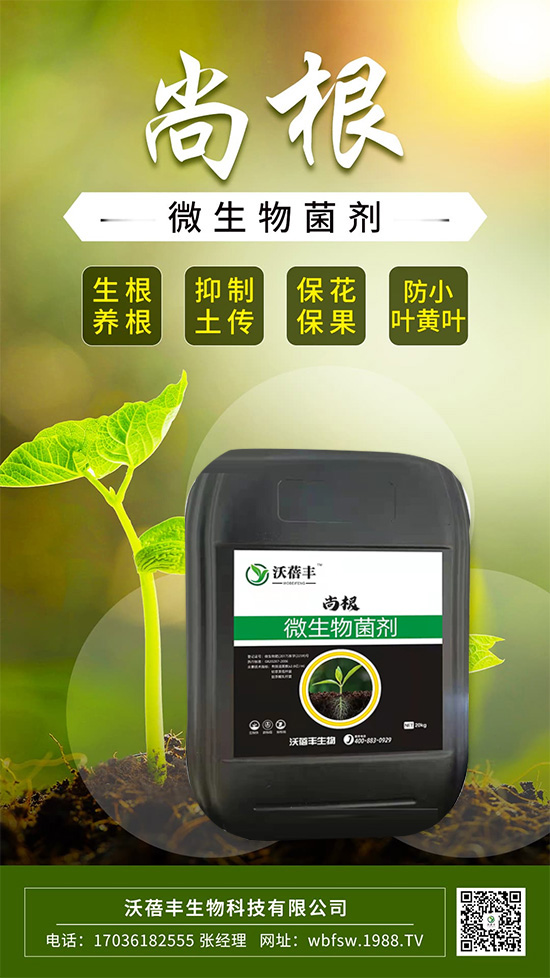 ��ô����׌���������Ѹ������@����׌�����������ף�