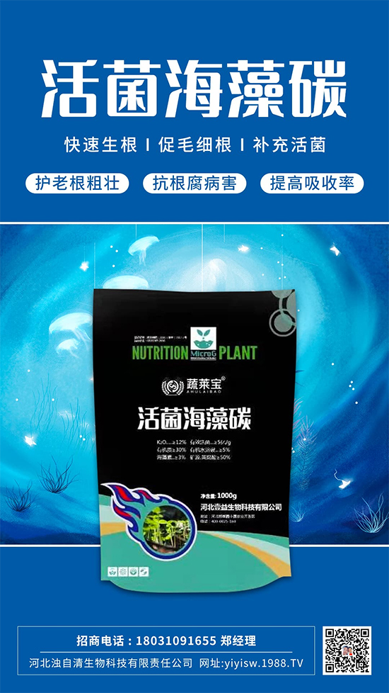 �@���Ǹ��õ�����䷽������������������ɫ������