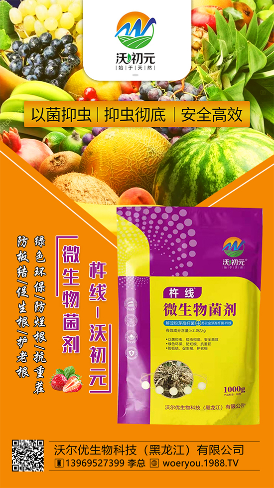 ����ĸ�ϵ���Q������Įa(ch��n)��