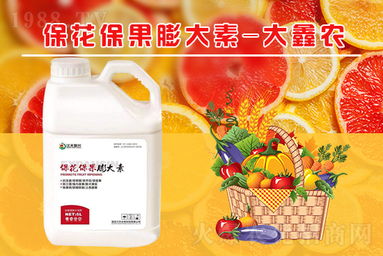 �ļ���������ٲ�������α������